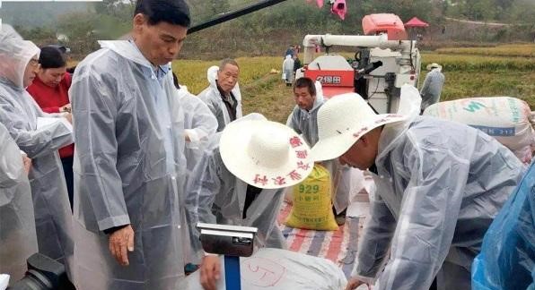 智慧農業