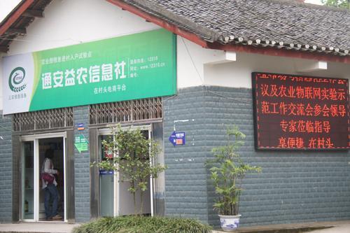 智慧農業