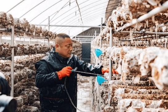 智慧農業