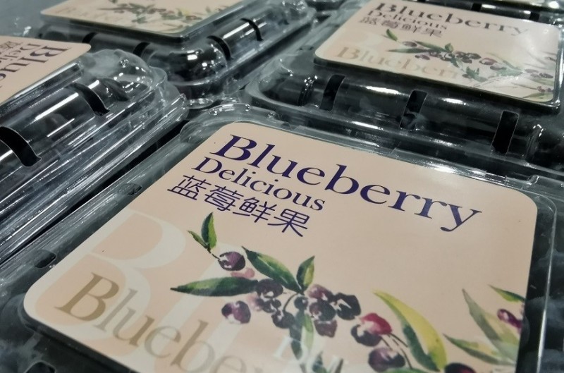 智慧農業