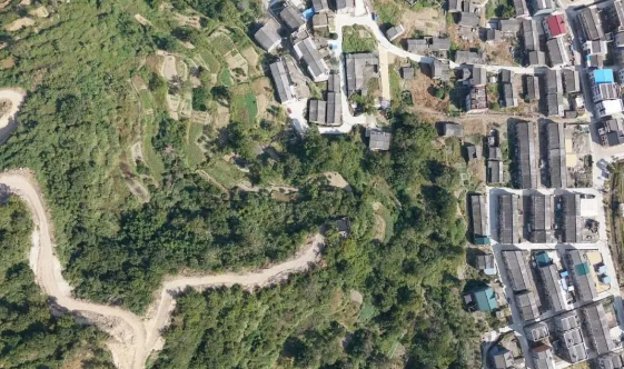 智慧農業