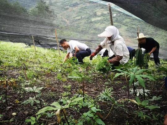 智慧農業